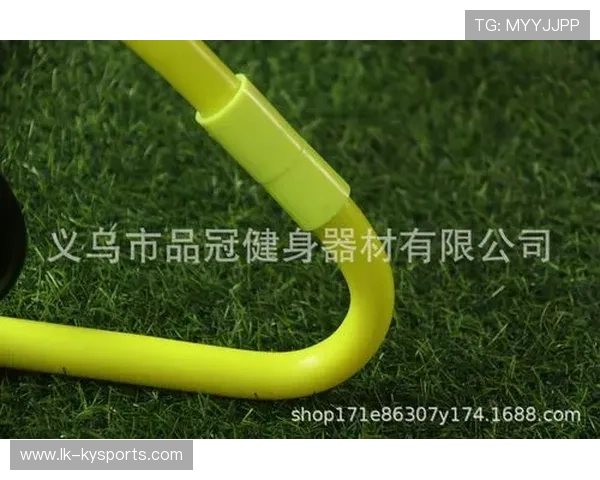 专家呼吁加强对青少年跨栏与跳跃项目的技术启蒙